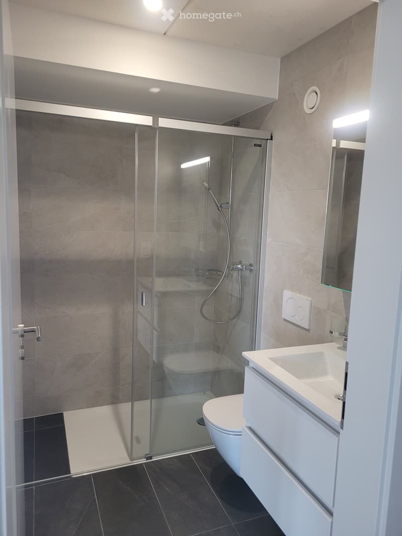 Modern bathroom with a glass-enclosed shower stall, toilet, sink with a mirrored cabinet, and sleek dark tiled flooring.