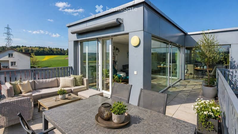 Modern rooftop terrace with a view, featuring a sofa, coffee table, chairs, and potted plants.