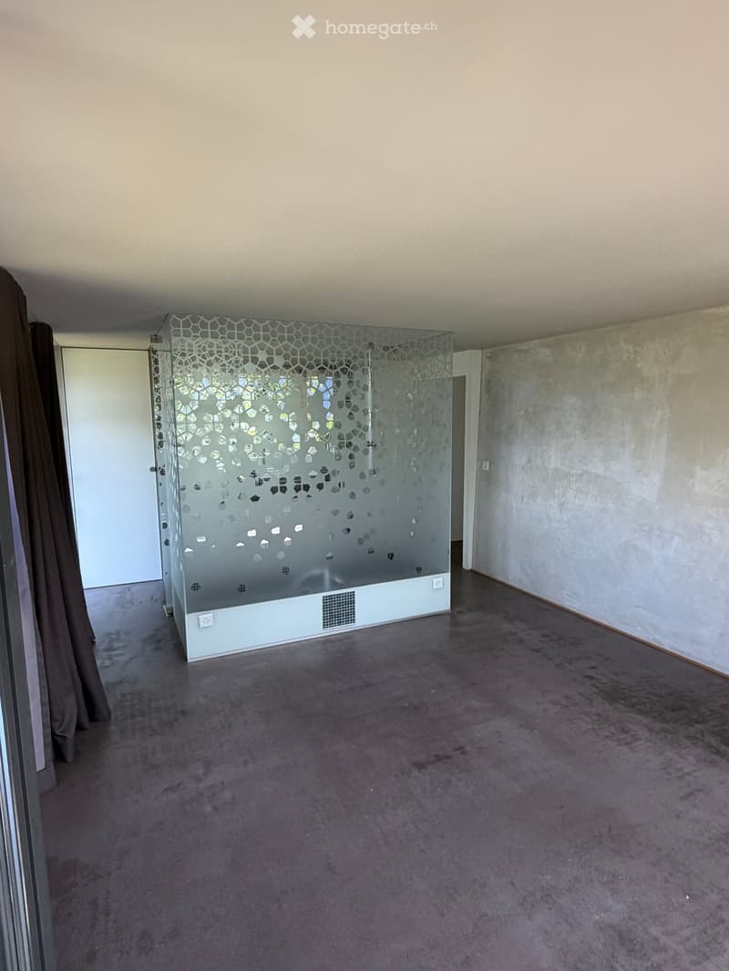 Empty room with grey carpeted floor, white walls, and a glass partition with a geometric pattern. No furniture or equipment is present.