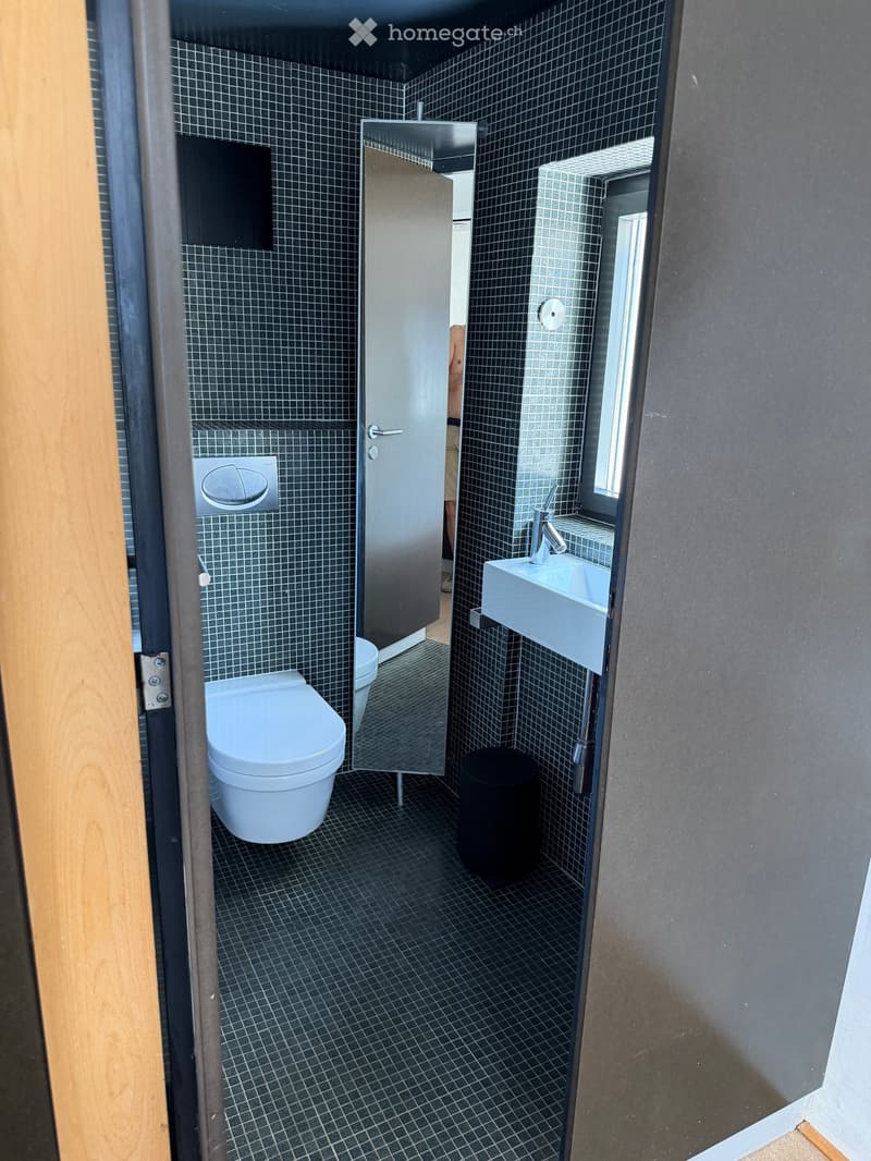 Modern bathroom with dark tiled walls and floor, featuring a toilet, sink with faucet, mirror, and a small trash bin.