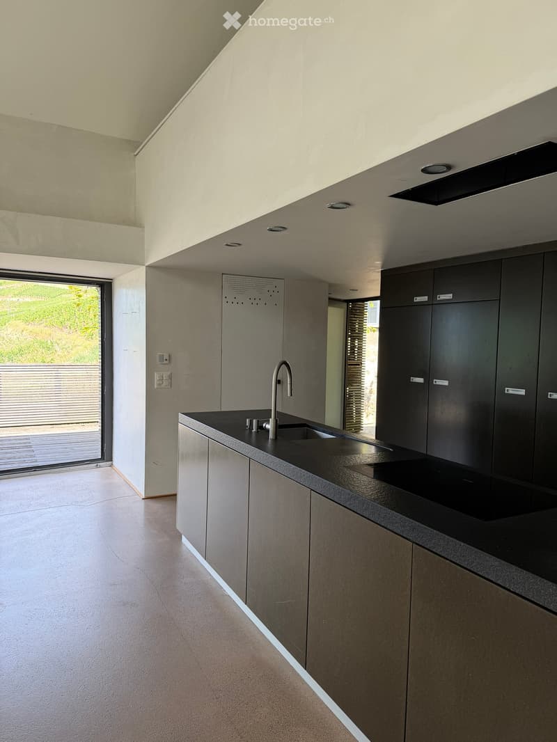 Modern kitchen with sleek black countertops, stainless steel sink, and dark grey cabinets. Large window provides natural light.