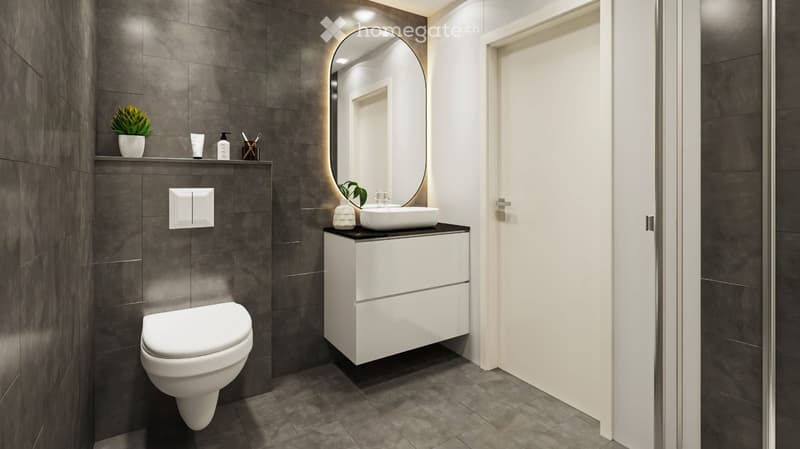 Modern bathroom with dark grey tiles, white toilet, sink, and cabinet, along with a large oval mirror and small plant on the shelf.