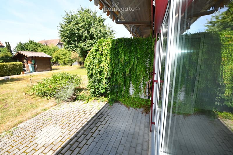 Garden area with a brick pathway, lush greenery, and a small wooden shed in the background.