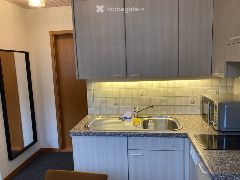 Modern kitchen with granite countertops, stainless steel sink, microwave, and built-in cabinets.