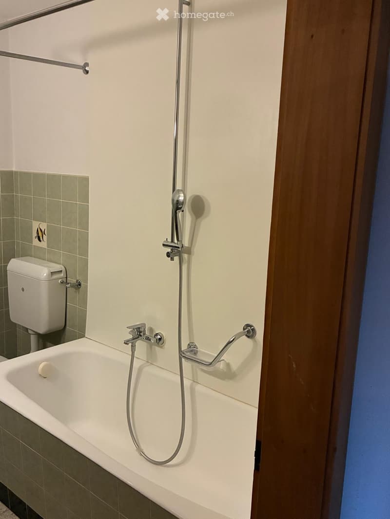 Modern bathroom with a bathtub, toilet, handheld showerhead, and a handrail for safety.