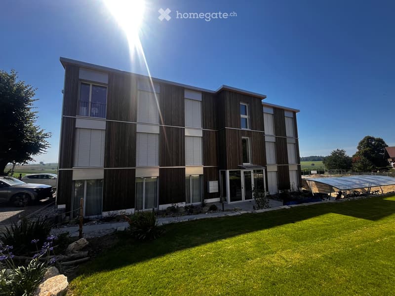 modern house, brown and white facade, garage, many large windows, green lawn, 2 cars parked