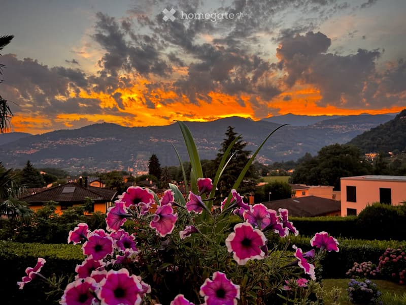 A garden with pink flowers in the foreground and a scenic view of a town and mountains at sunset.