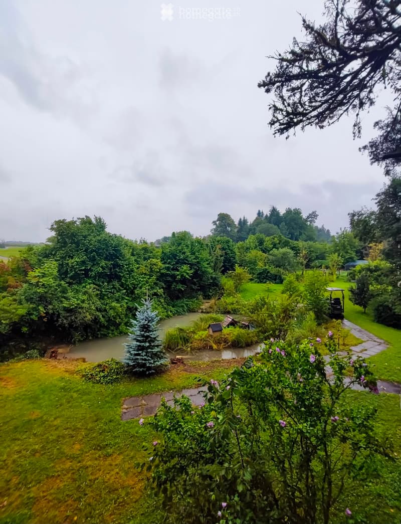 Lush garden with a pond, trees, shrubs, and a small shed, surrounded by greenery and a stone pathway.