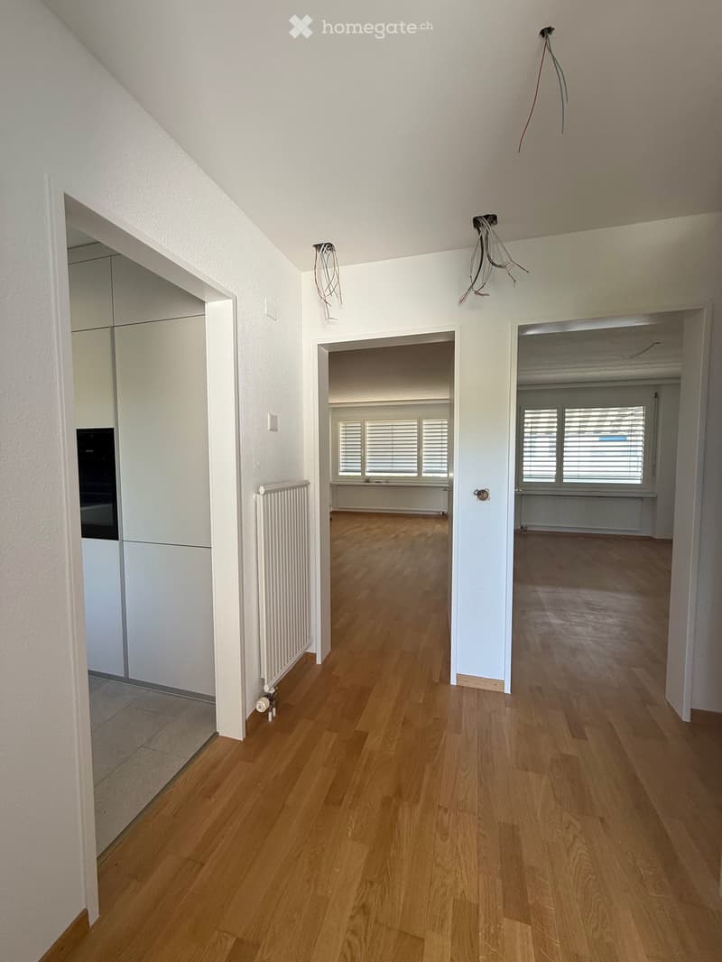 Erstvermietung nach Sanierung – moderne 2.5-Zimmer-Wohnung mit Balkon (3)