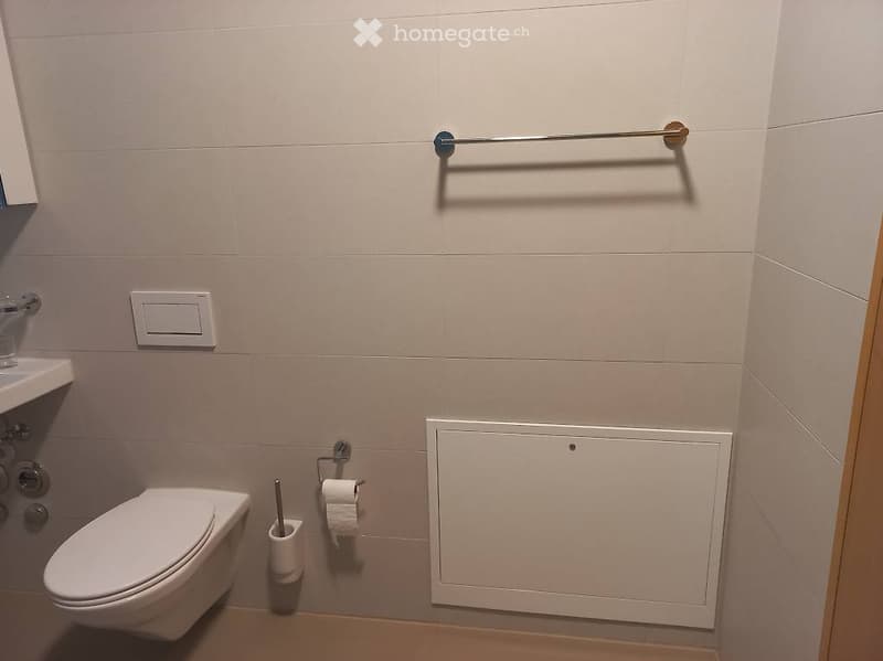 Modern bathroom with a toilet, towel rack, toilet paper holder, and a sink. Light-colored tiles and a wooden floor.