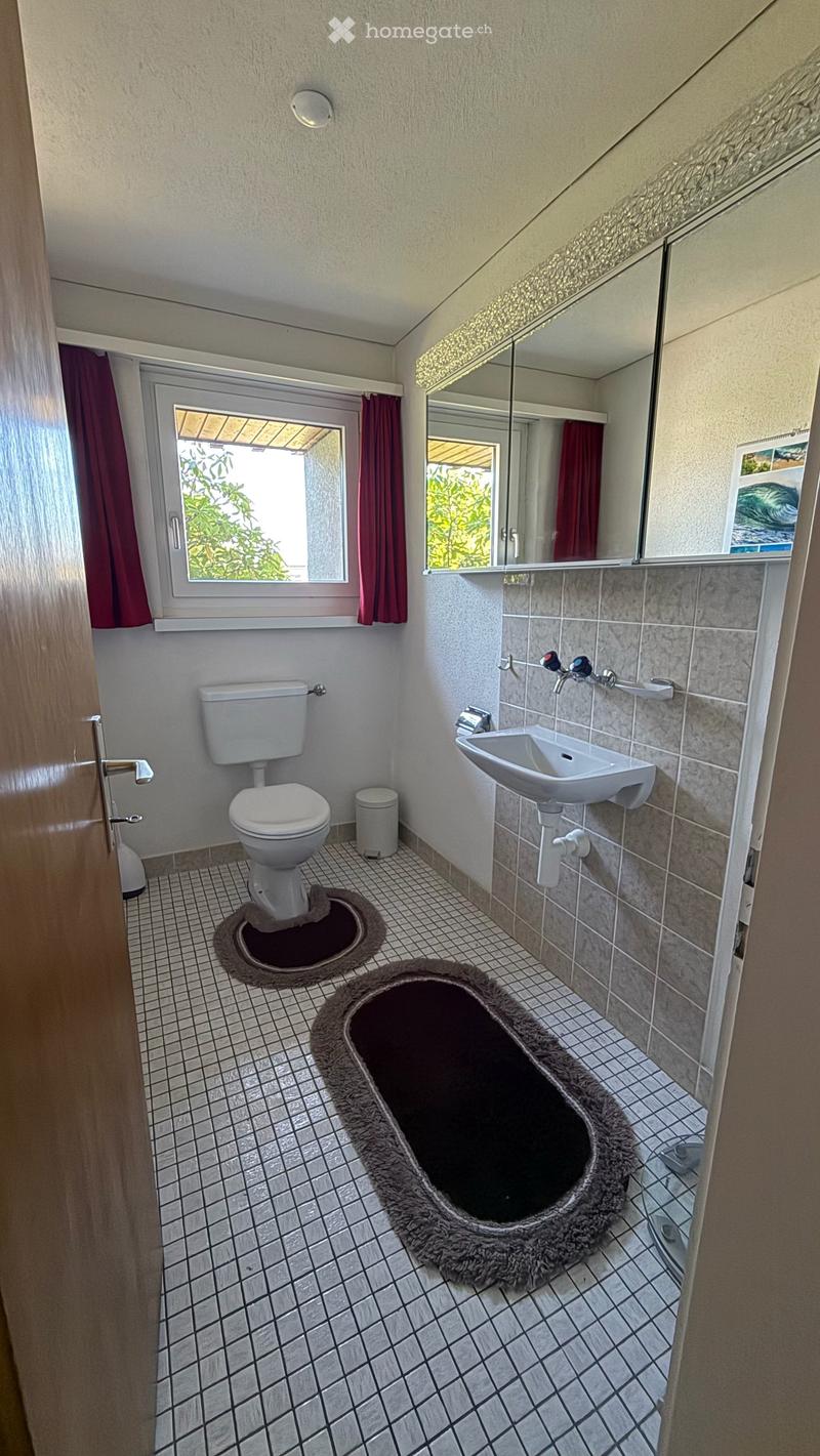 Charmantes 5.5-Zimmer-Einfamilienhaus an der Zinggenstrasse 15 in Widnau (17)