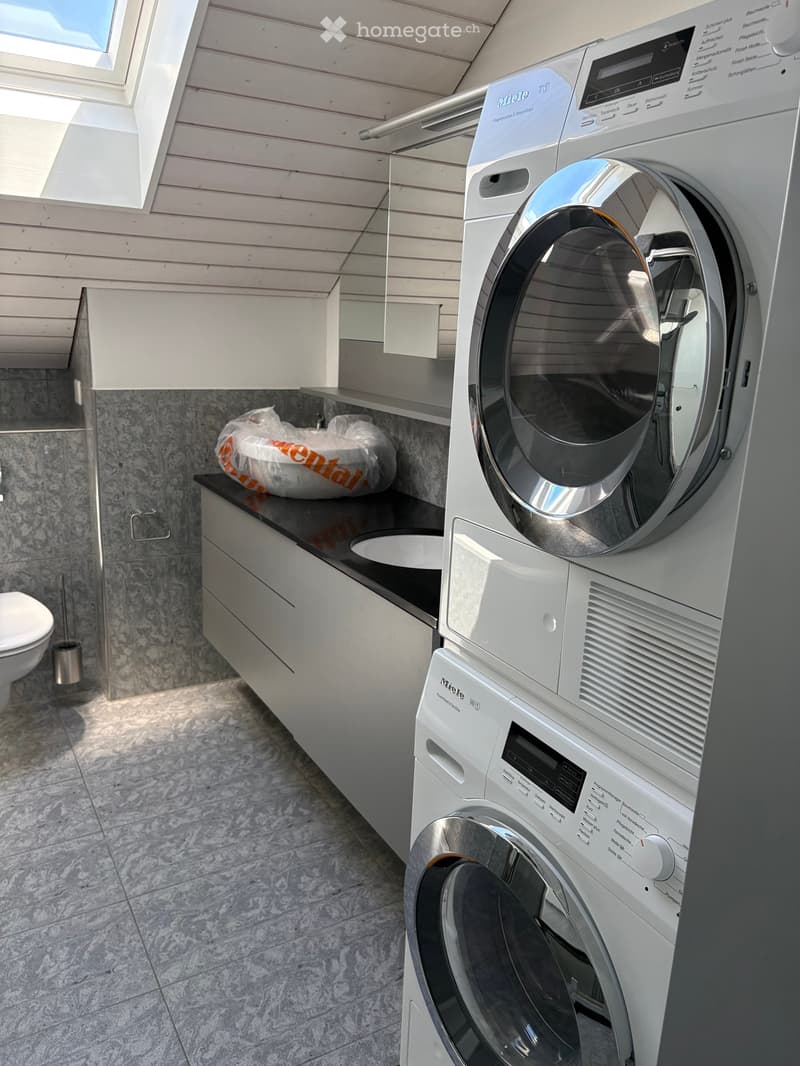 Modern bathroom with a washing machine, toilet, and built-in cabinet. The space features a sleek, contemporary design with a marble-like tile backsplash and a skylight window providing natural light.