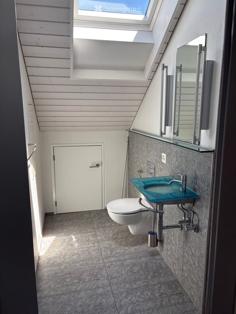 Modern bathroom with a white toilet, blue glass sink, chrome faucet, and a large mirror above the sink. The walls are tiled, and the ceiling has wooden paneling with a skylight.