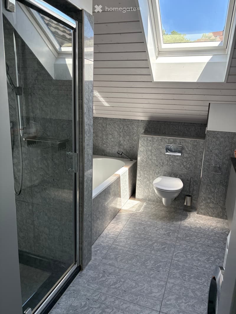 Modern bathroom with a bathtub, toilet, glass-enclosed shower, and large skylight windows providing natural light.