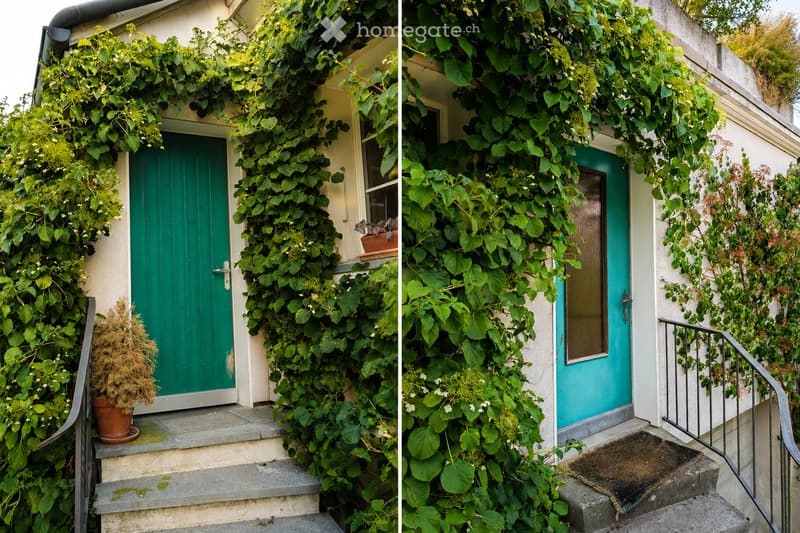 Two images showing the exterior of a house with green ivy-covered walls, green and teal front doors, small potted plants, and stone steps leading up to the entrance.