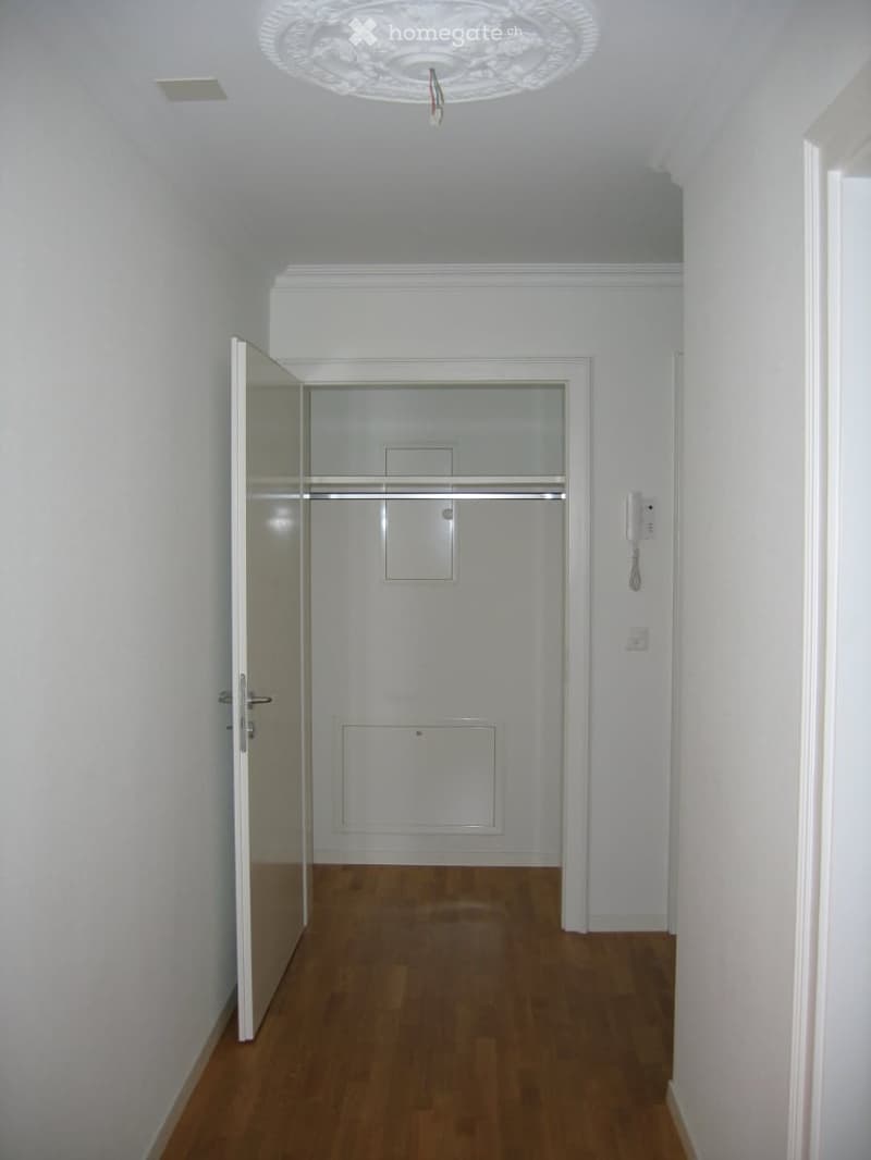 Empty hallway with wooden flooring, white walls, and a glass-paned closet door.