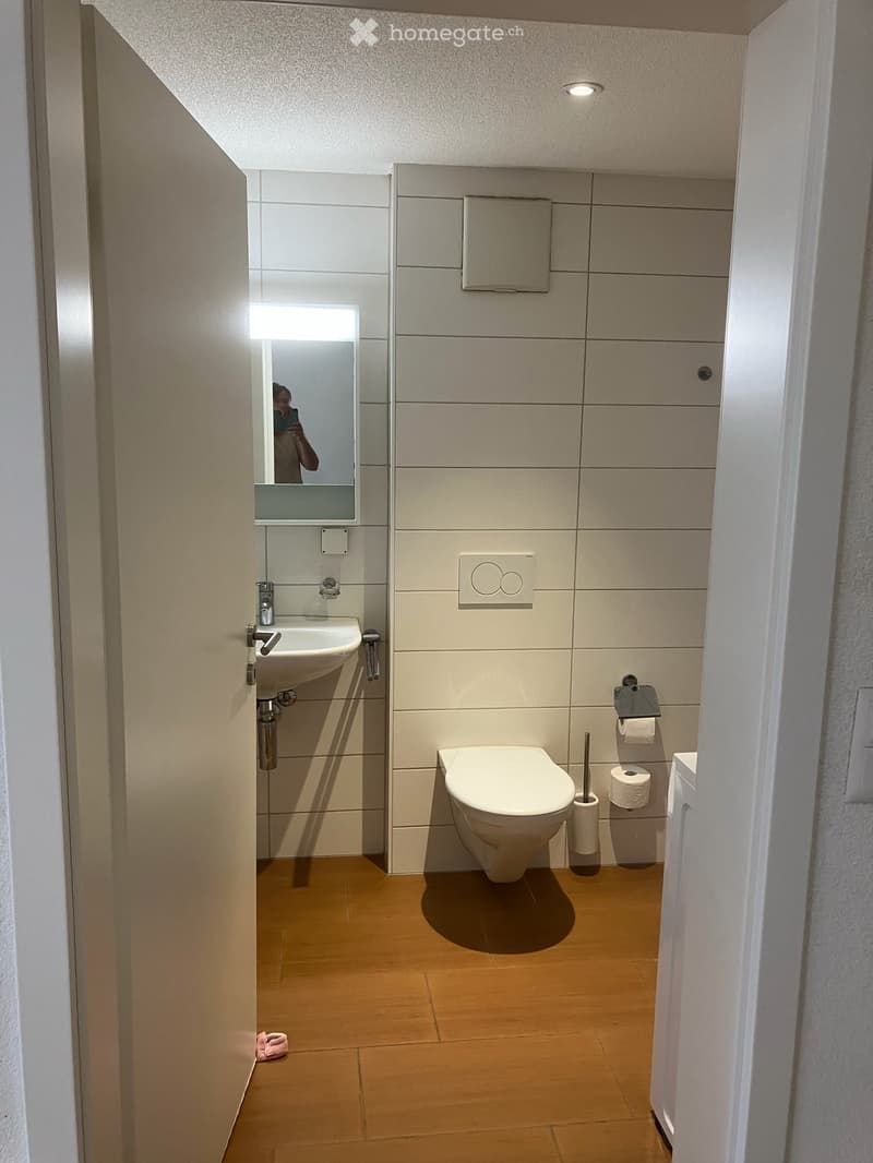 Wohnung in Seewen SO (5)