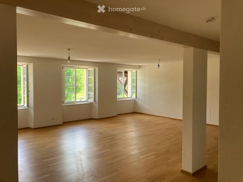 Wohnung in Seewen SO (2)
