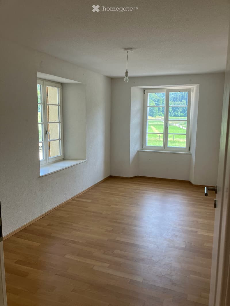 Wohnung in Seewen SO (4)