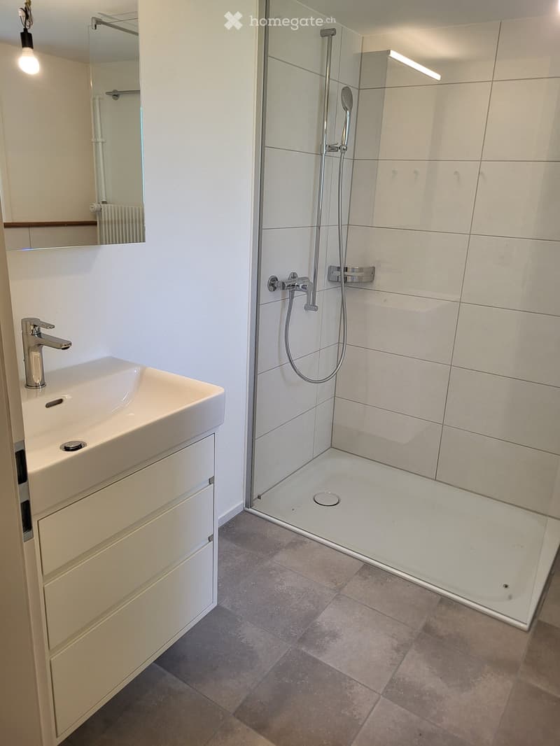 Modern bathroom with a white sink, chrome faucet, mirror, and a glass-enclosed shower with a handheld showerhead and rail.