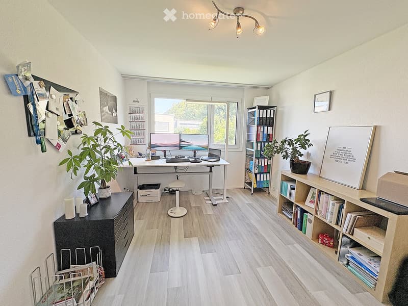 Modern, well-lit office space with a large desk, dual monitors, laptop, chair, cabinet, bookshelf, potted plants, and various office supplies.