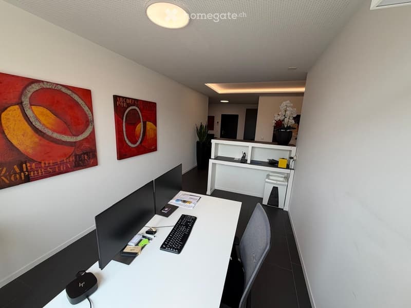 Modern office space with a white desk, ergonomic chair, dual monitors, keyboard, and a reception area with a vase and plant. Artwork adorns the walls.