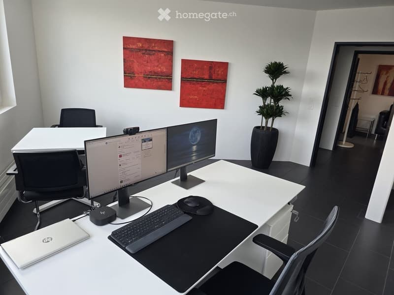 Modern office space with a white desk, ergonomic chair, dual monitors, laptop, keyboard, mouse, and a potted plant. The room features white walls, black flooring, and abstract art pieces.