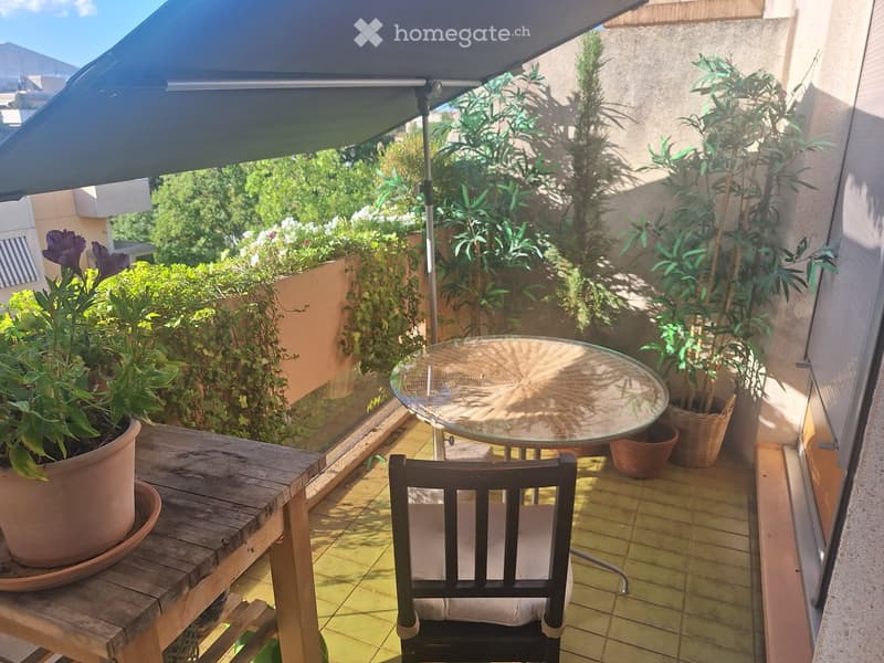 Balcony with a glass table, wooden chair, and several potted plants, including a large one on a wooden stand. The area is shaded by an awning and features a tiled floor.