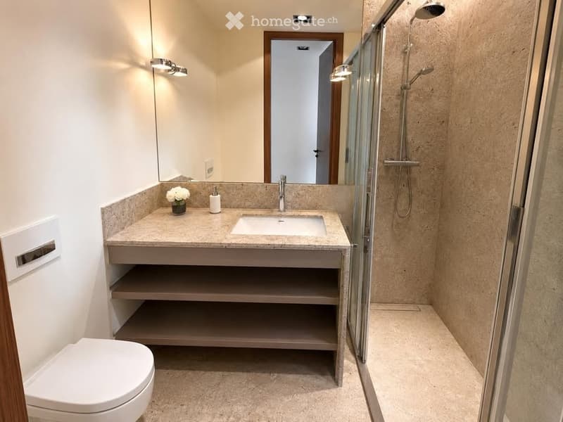 Modern bathroom with a single sink, toilet, and glass-enclosed shower. Features include a large mirror, built-in storage shelves, and a small flower vase on the sink counter.
