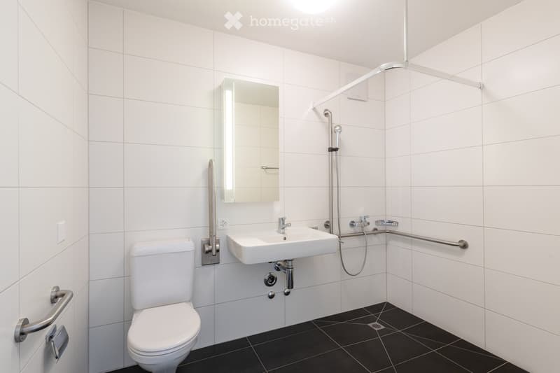 Modern bathroom with white tiled walls, black tiled floor, toilet, sink, mirror, and shower with handheld sprayer.