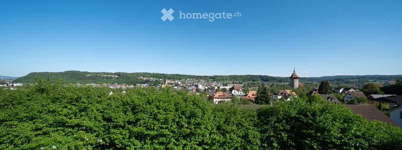 A panoramic view of a town with houses, trees, and a distant hill under a clear blue sky.