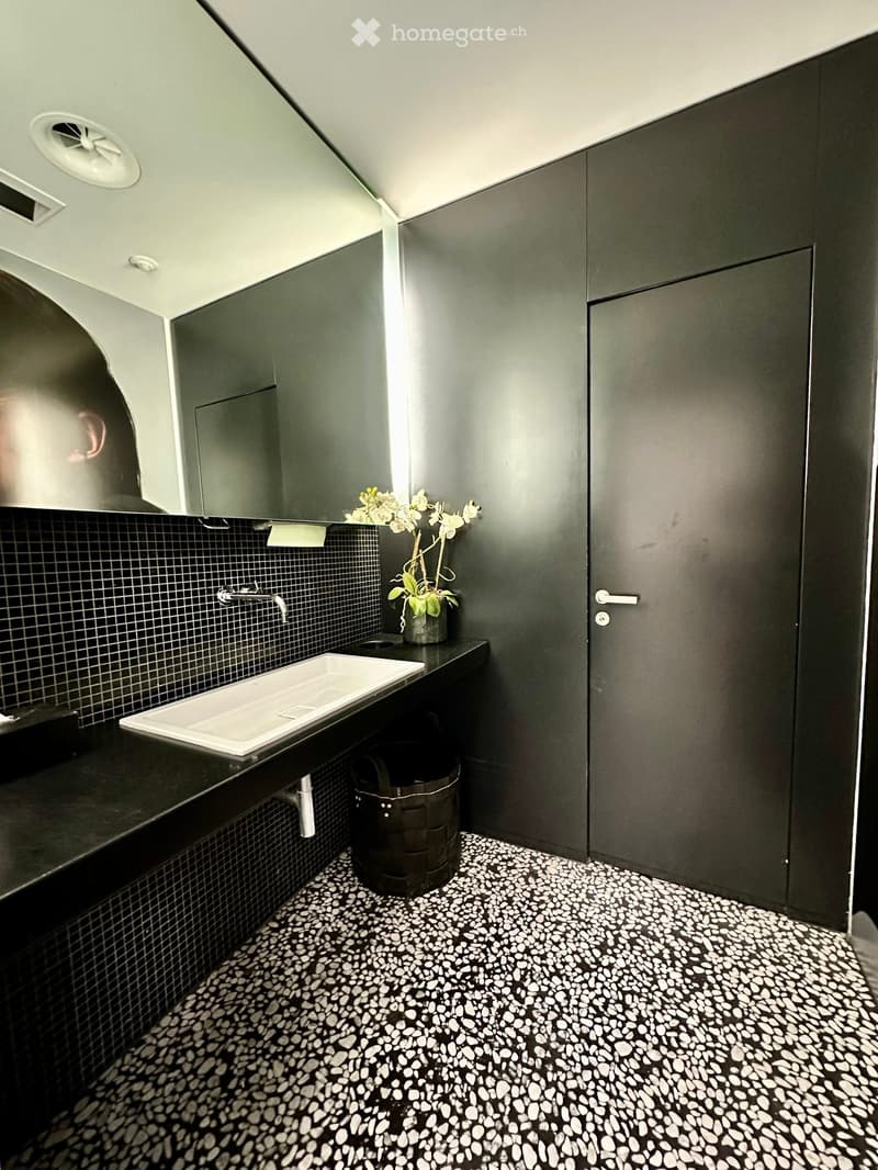 Modern bathroom with black and white patterned floor, dark grey walls, white sink, black countertop, and a small plant on the counter.