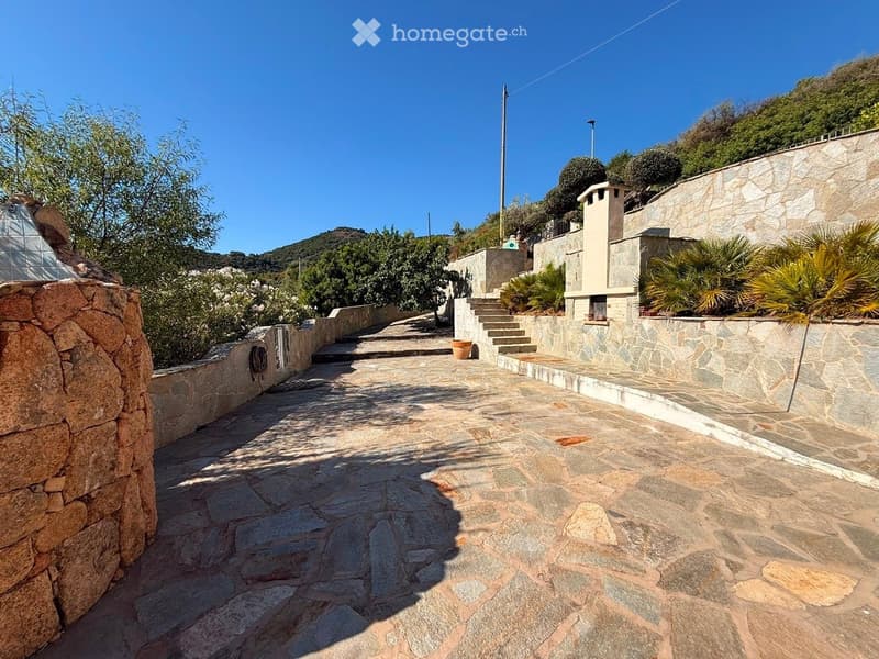 Stone-paved pathway lined with stone walls, surrounded by greenery and trees, leading up a hillside.