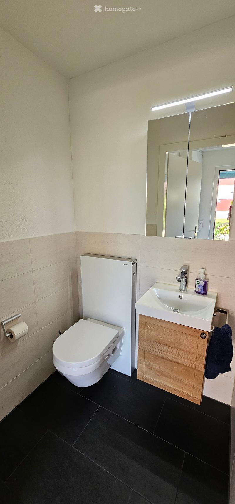 Modern bathroom with white toilet, sink, and mirror, black tiled floor, and wooden cabinet under sink.