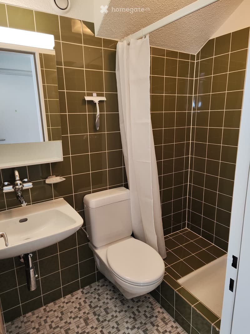 Einliegerwohnung teilmöbliert in Wettingen (5)