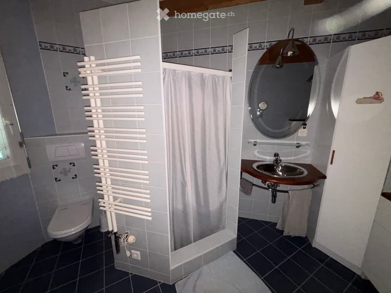 Bathroom with a toilet, sink, mirror, radiator, and shower curtain. The sink has a wooden countertop, and the mirror is oval-shaped with a decorative frame.