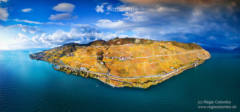 Aerial view of a vineyard area with terraced fields, surrounded by water and hills under a partly cloudy sky.