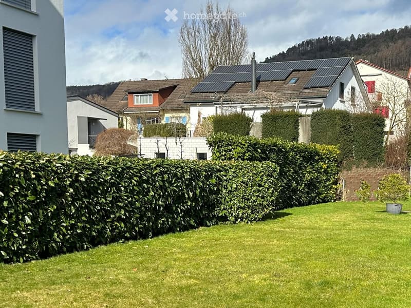 Green lawn, well-trimmed hedges, solar panels on the house roof, small potted plant