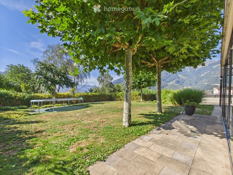 A well-maintained garden with a large tree, a trampoline, a paved pathway, and a scenic mountain view in the background.
