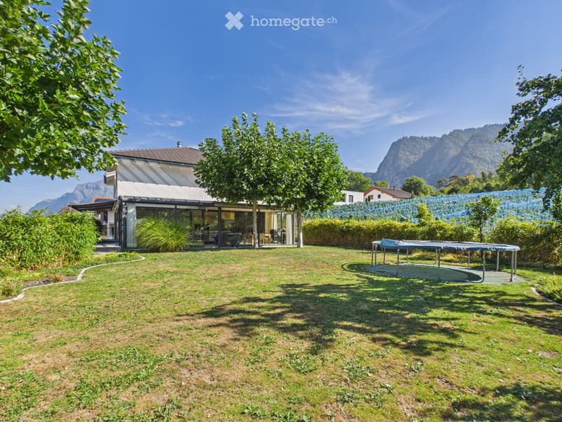 Lush garden with a trampoline, a modern house with large windows, and a scenic mountain view in the background.