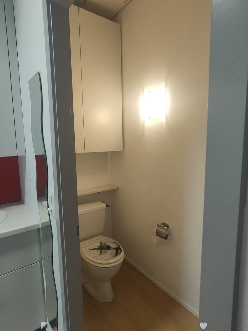 Compact bathroom with a toilet, sink, mirror, and cabinet. The toilet has a decorative flower arrangement on the seat. The walls are light-colored, and the floor is wooden.