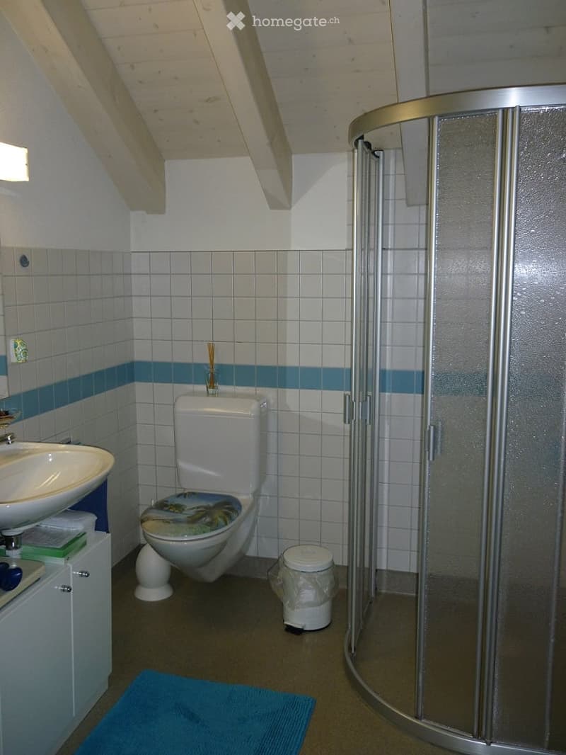 Bathroom with a toilet, sink, shower, cabinet, mirror, and a trash bin. The walls are tiled with white tiles and blue accents, and there is a blue rug on the floor.