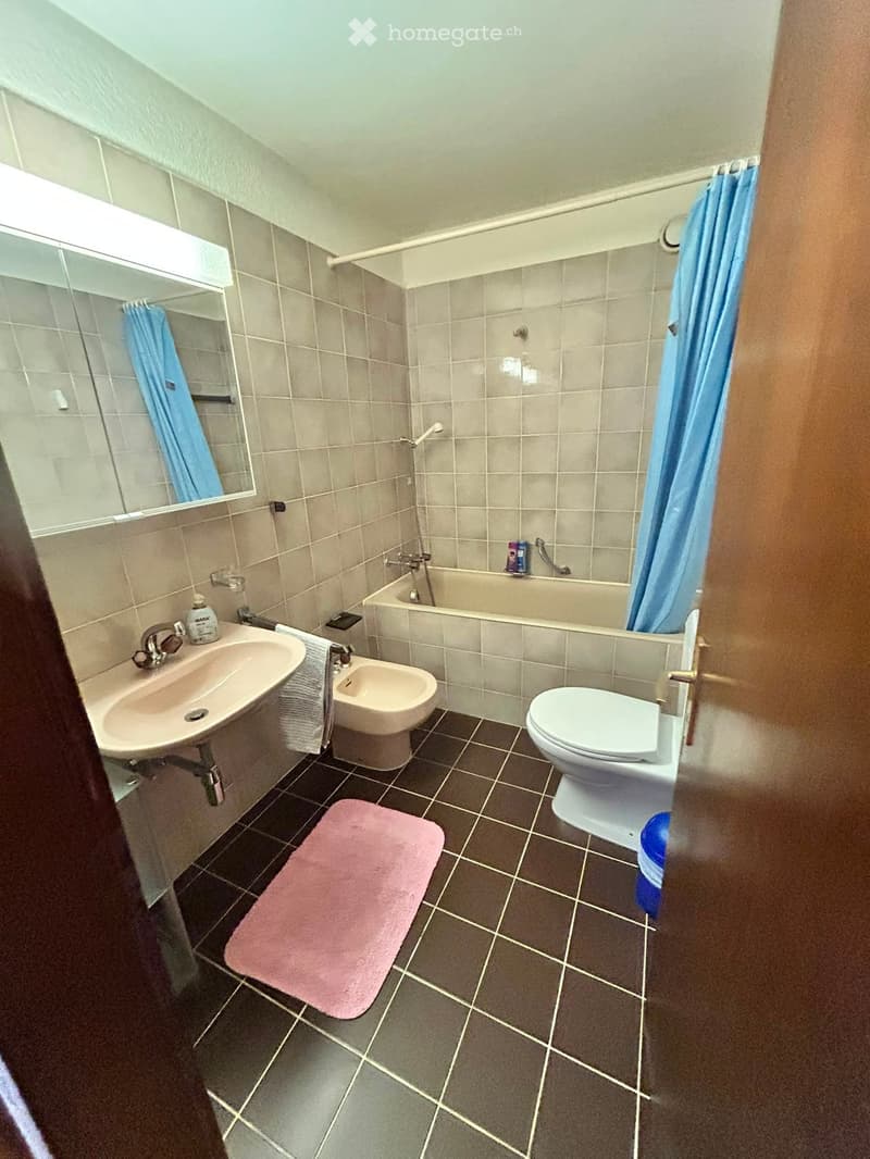 Bathroom with a sink, toilet, bathtub, bidet, mirror, and a pink bathroom rug on the floor.