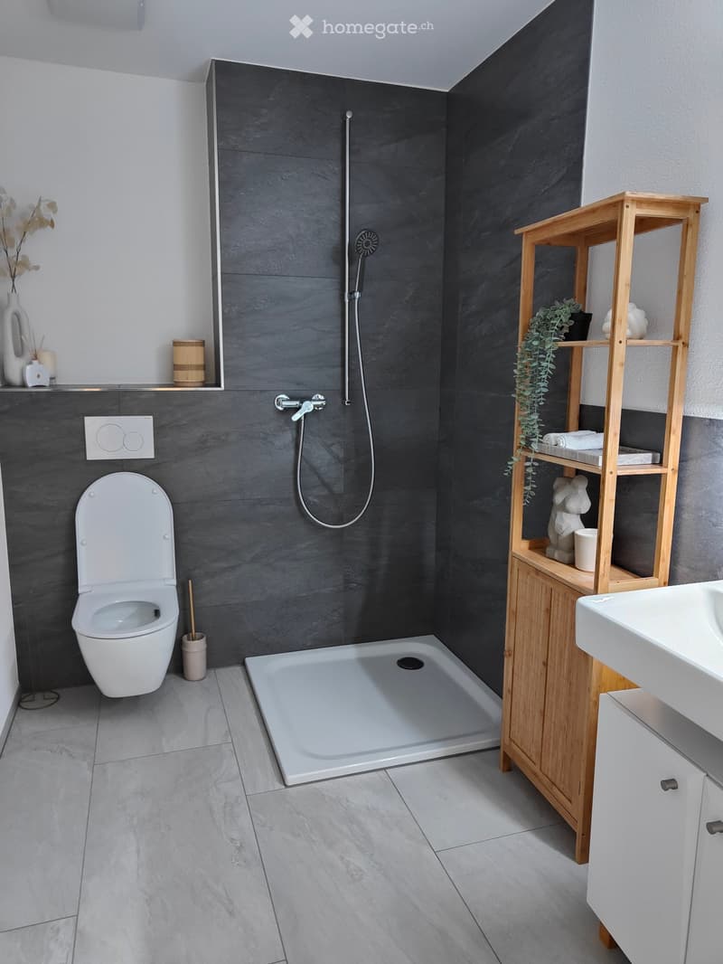 Modern bathroom with dark grey tiles, white toilet, shower, sink, wooden shelf with plant and decorative items, and a vase on the counter.