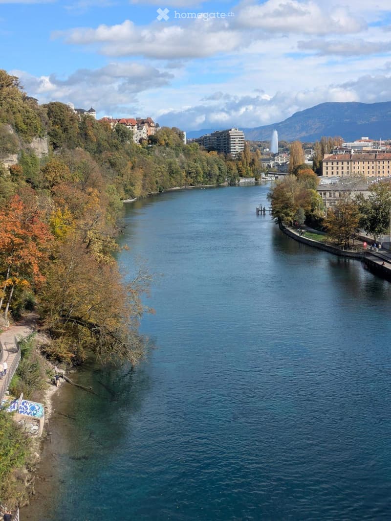 A scenic view of a river with autumn foliage on both sides, featuring a pathway along the riverbank and distant buildings and mountains.