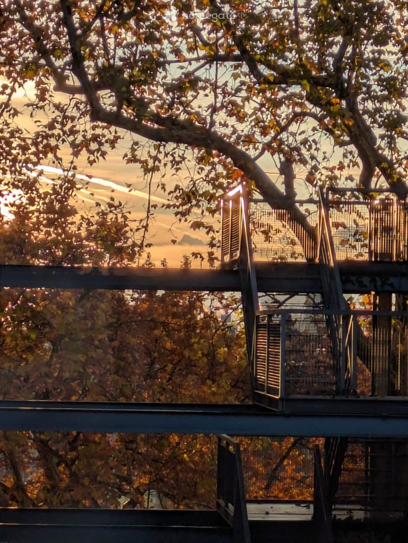A metal balcony with stairs, surrounded by autumn trees and a view of the cityscape at sunset.