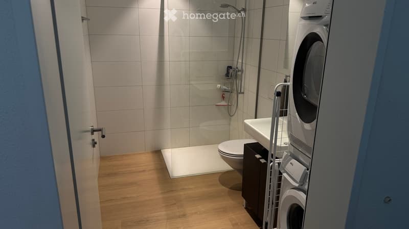 Modern bathroom with a glass-enclosed shower, toilet, sink, and a stacked washing machine/dryer unit.