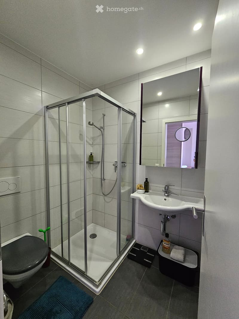 Modern bathroom with a glass-enclosed shower, toilet, sink, and mirror. Includes a towel, bottle, and bathroom scale.