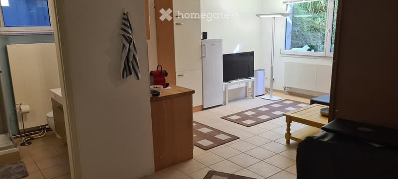 A modern living room with a sofa, coffee table, television, refrigerator, and floor lamp. The space is well-lit with large windows and features a tiled floor and patterned rugs.