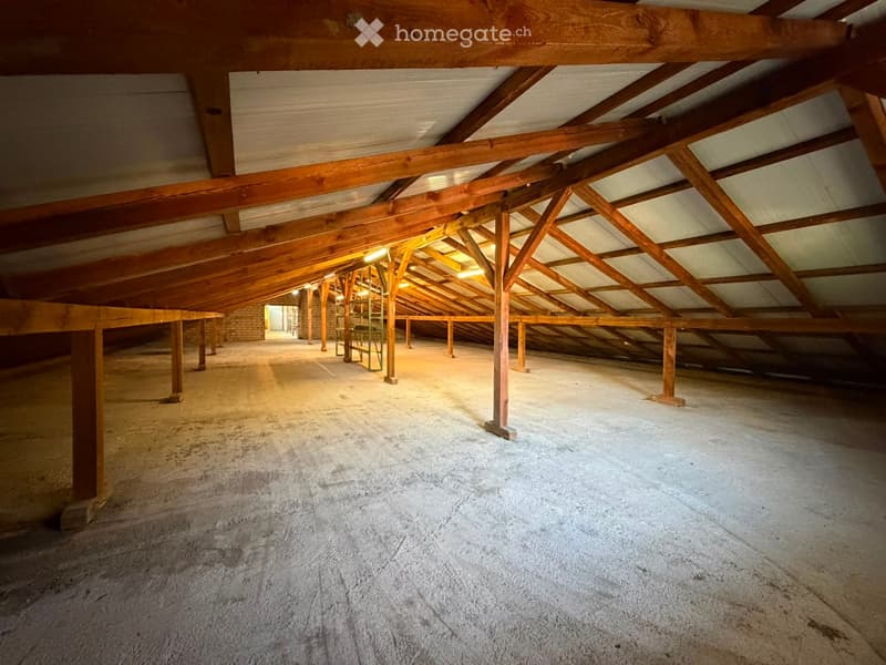 Empty attic space with wooden beams and exposed ceiling structure, concrete floor, and minimal lighting.